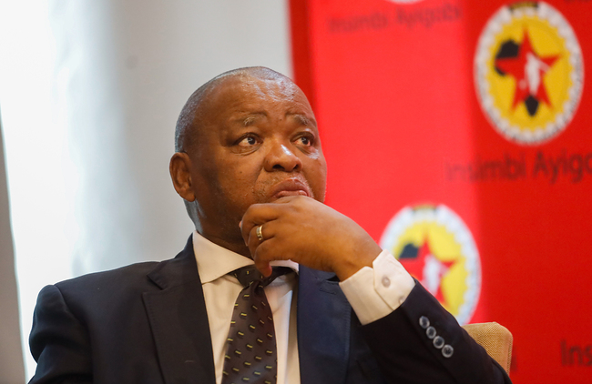 WATCH | Mantashe walks out of Cosatu congress over speaking order