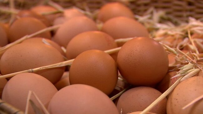 Australia’s biggest egg supplier accused of cartel conduct