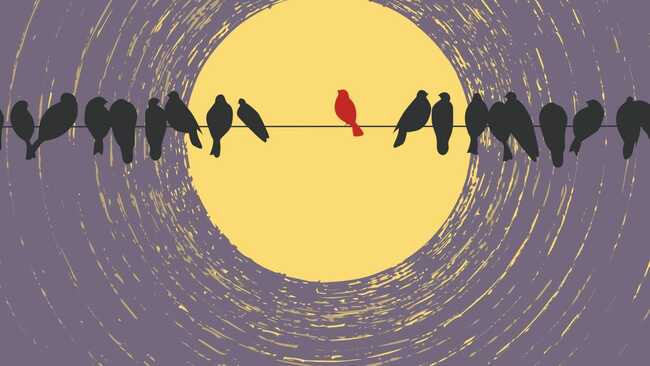 Parashat Lech Lecha: The courage to stand alone