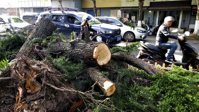 Extreme weather kills 11, injures 102 in eastern China