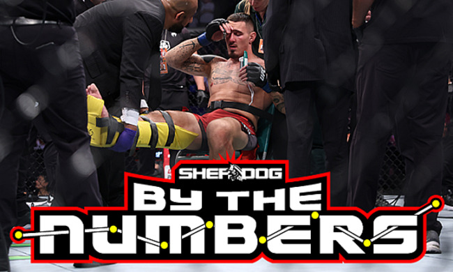 By The Numbers: UFC Fight Night 208