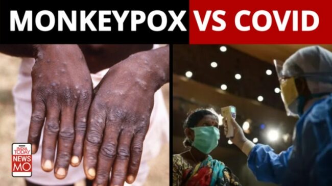 Monkeypox vs Covid: Which is more deadly?