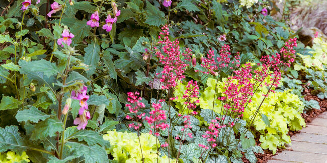 The Heat Is Here: Your August-September Garden Checklist