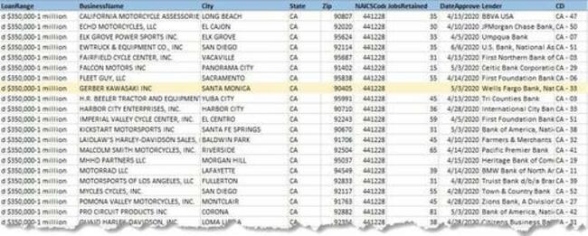 Ross Gerber Appears To Have Taken Out Another PPP Loan - This Time As A Sole Proprietor