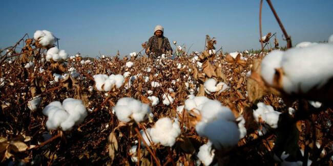 Xinjiang cotton and Myanmar jade show human rights pressure on commodities