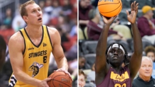 Stingers' success built from strong Edmonton basketball connections