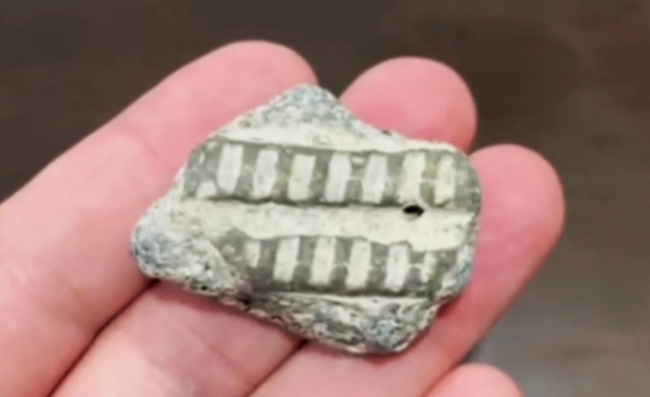 Found a fossil on the beach in Taiwan just like searching NASA photos for similar things. UFO Sighting News.