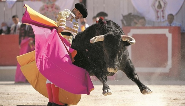French bullfight foes eye coup de grace for ‘immoral’ spectacle