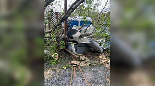 Man trapped inside portable toilet after tree falls at Pa. national park