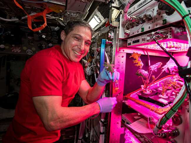 Astronauts have been enjoying a fresh supply vegetables to keep them healthy in space. Two NASA scientists explain how the crop-growing experiments worked.