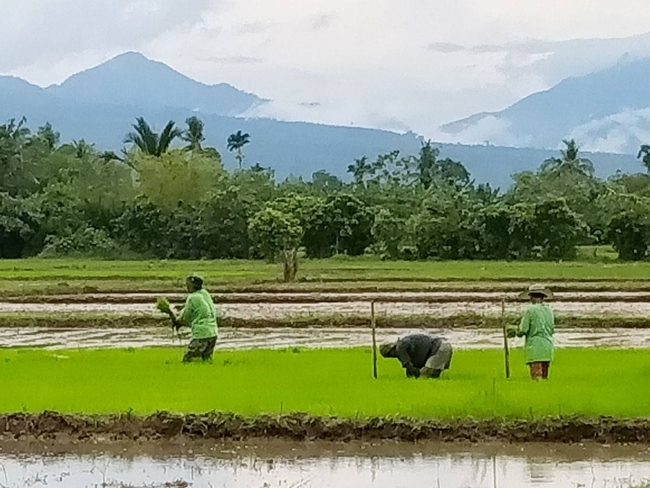 Marcos to aid agrarian reform beneficiaries