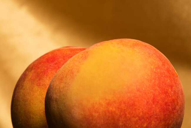 People are flocking to sextech startups ahead of the 'hot vax summer.' VCs are taking note.