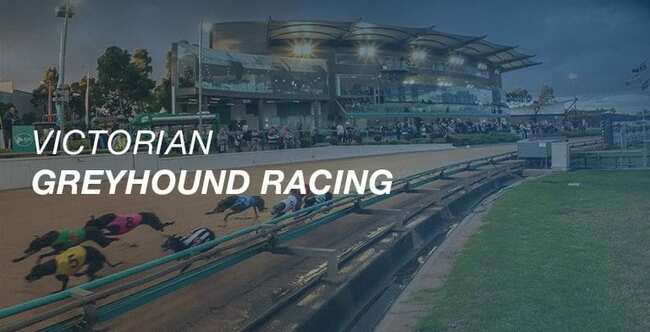 Victorian greyhound racing vision to be shown on Racing.com & Foxtel