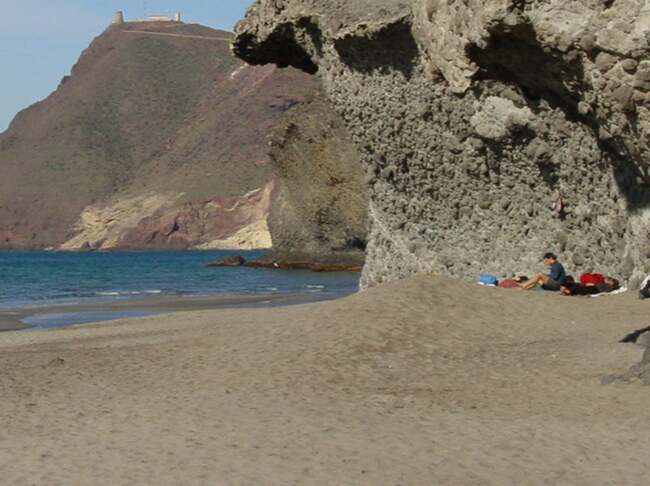 Foreign holidays 'should be discouraged' all summer to fight Covid variants, MPs tell ministers