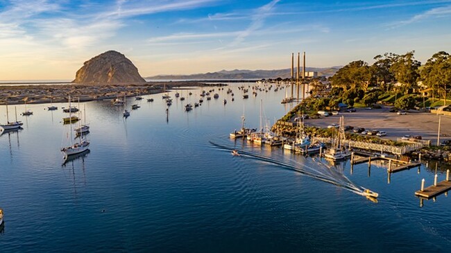 Ace event planner ramps up Morro Bay's annual Avocado Margarita Festival to three-day extravaganza