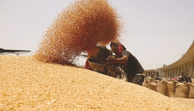India may import wheat in blow to Modi’s goal to feed world