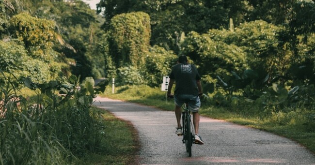 More Singaporeans want a greener future but are doing more emissions-heavy activities