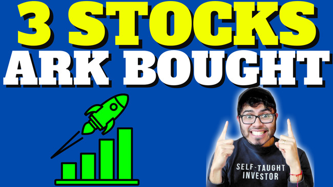 3 Stocks Cathie Wood's ARK Invest Bought This Past Week