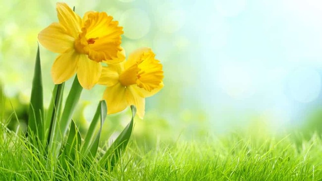 Here Are the 2 Top Canadian Stocks to Buy in May and Go Away