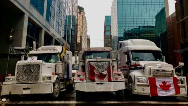 Most Albertans did not support Freedom Convoy, University of Alberta survey says