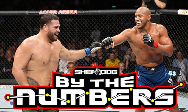 By The Numbers: UFC Paris