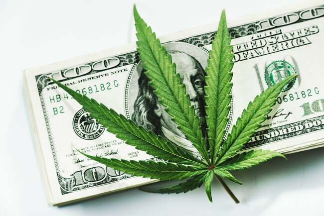 3 Best Marijuana Stocks to Buy in May