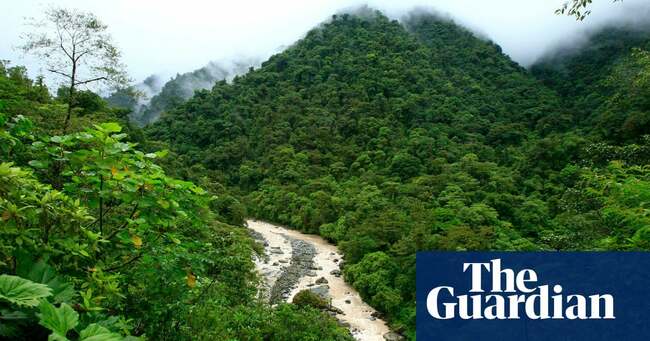 Carbon offsets used by major airlines based on flawed system, warn experts