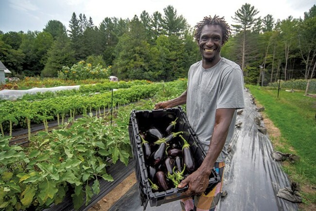 Urban Farmer Cultivates Produce and Gratitude at Berlin's Khelcom Farm