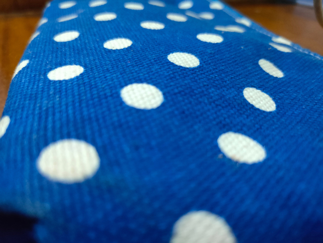 Osprey, a Would-Be Bitcoin ETF Issuer, Announces Polkadot Products