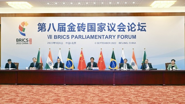 Top legislator calls for consolidating BRICS unity