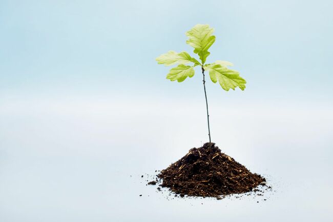 Now Is The Time For Manufacturers To Work With Policymakers In Building A Greener Future