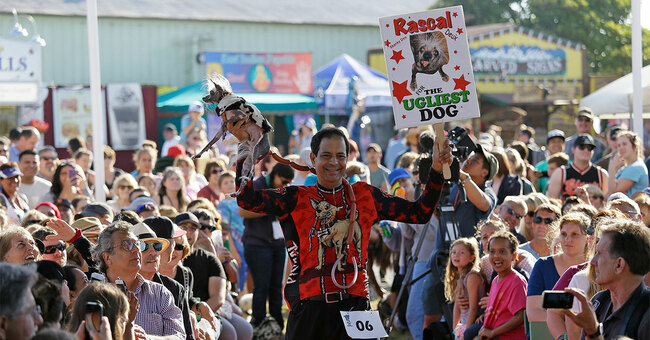 In Petaluma, the Future of Democracy and the Fate of the World's Ugliest Dog Contest Are Intertwined