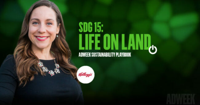 How Kellogg Company Supports Farmers' Sustainable Agriculture Practices