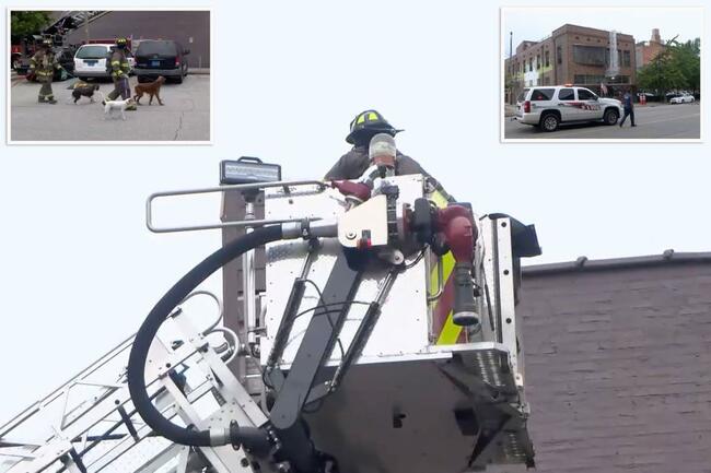 Dogs rescued from roof after fumes fill Alabama doggy day care