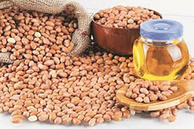 Gujarat to see bumper crops of groundnut and sesame this summer