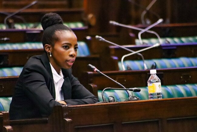 'Inaccurate, untrue': Acting Public Protector denies Mkhwebane's Phala Phala probe delay claims