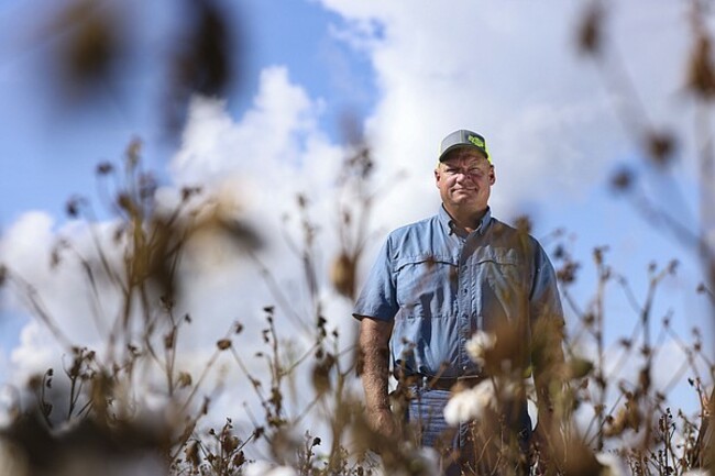 Record-breaking Texas drought results in over $2 billion in losses to cotton crop