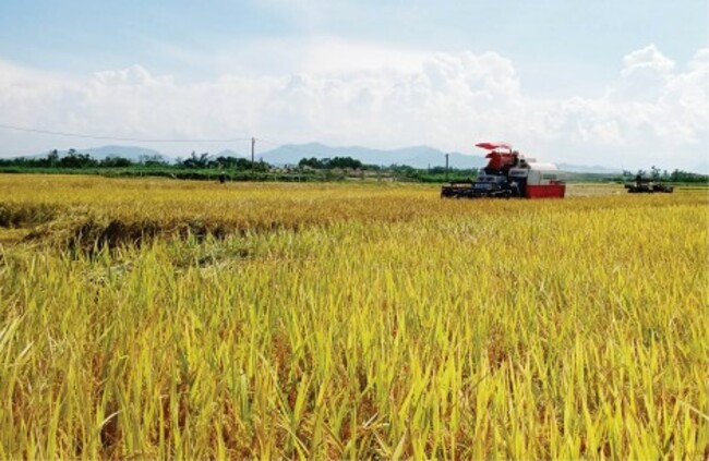 Nội lực xây dựng Phong Điền thành thị xã