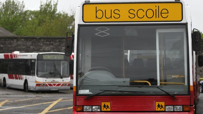 School transport: Foley discusses issues at committee