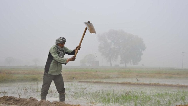 India to see expansion of agri sector in summer, despite Covid pandemic