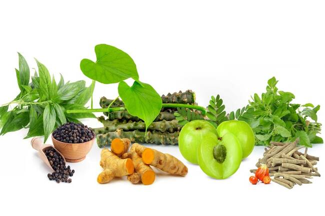 Here's how going organic is helping in building immunity during COVID-19