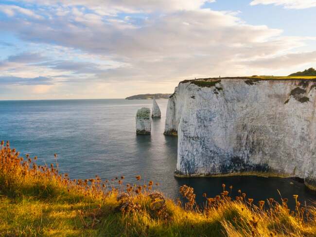Tourists continue to pose for selfies on clifftop where man almost fell to his death