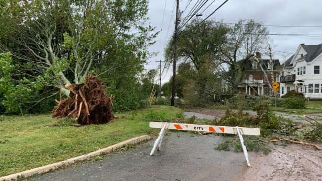 82,000 still without power on P.E.I. as massive cleanup continues