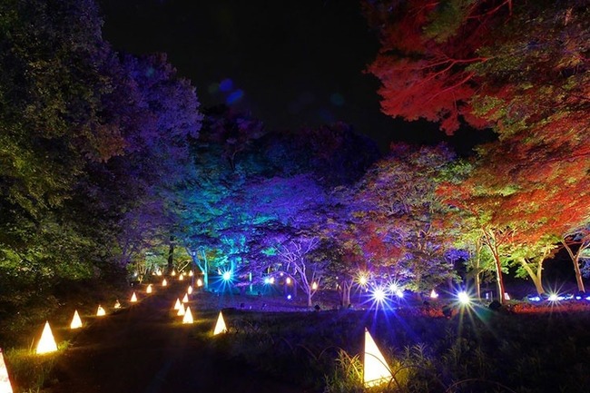 From Halloween events to art, festivals and beyond in the Kanto Region