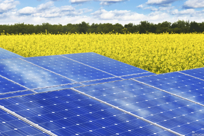 SunPower Firms; Adjusted Earnings Beat, Revenue in Line