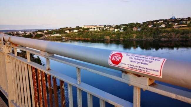 Saint John to renew call for suicide-prevention barriers on Reversing Falls Bridge