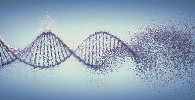 What Really Mattered With Editas Medicine's Q1 Update