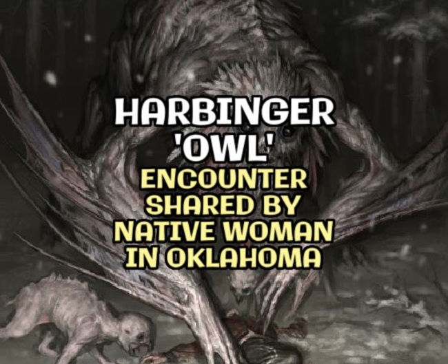 HARBINGER 'OWL' Encounter Shared by Native Woman in Oklahoma