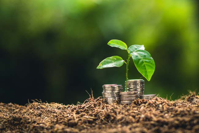 Buffett, Berkshire Hathaway Brush Off ESG Proposals