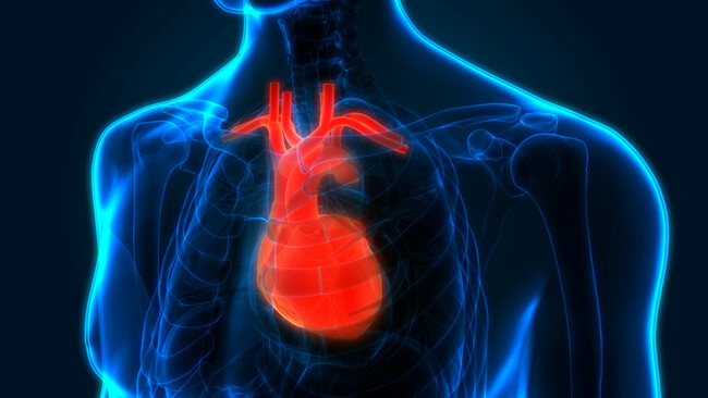 Research suggests a new treatment strategy for heart patients